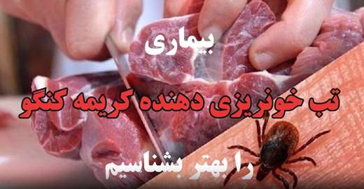 بیماری تب خونریزی دهنده کریمه کنگو را بهتر بشناسیم